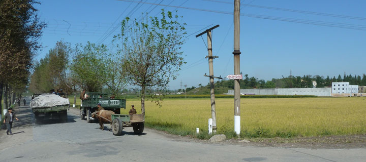 Outskirts of Pyongyang
