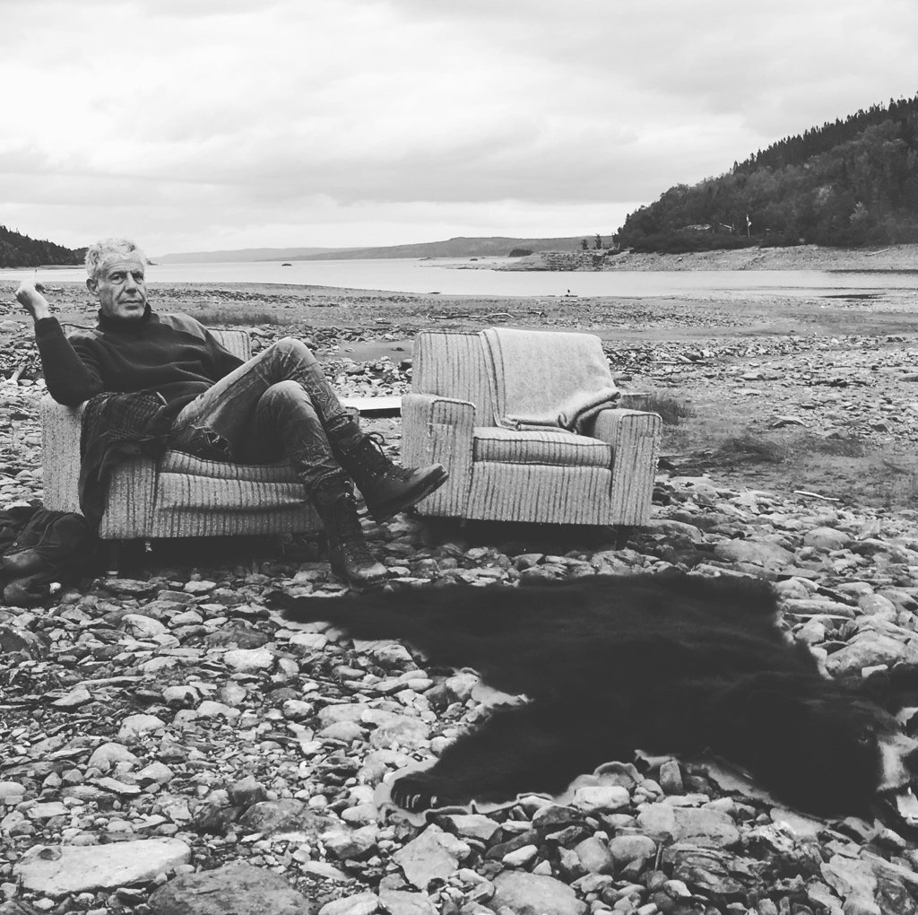 Anthony Bourdain fails to bag Newfoundland moose on trip for CNN show - image