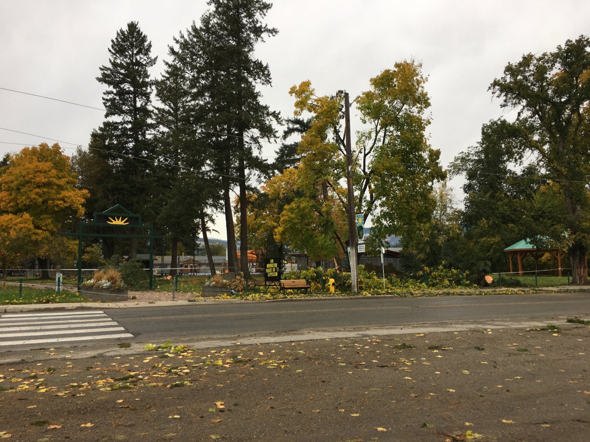 Tuesday's windstorm brought down trees and power lines. This photo shows the damage in Armstrong the day after the storm. 