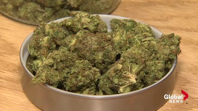 Nova Scotia has its first in-province licensed producer of cannabis.