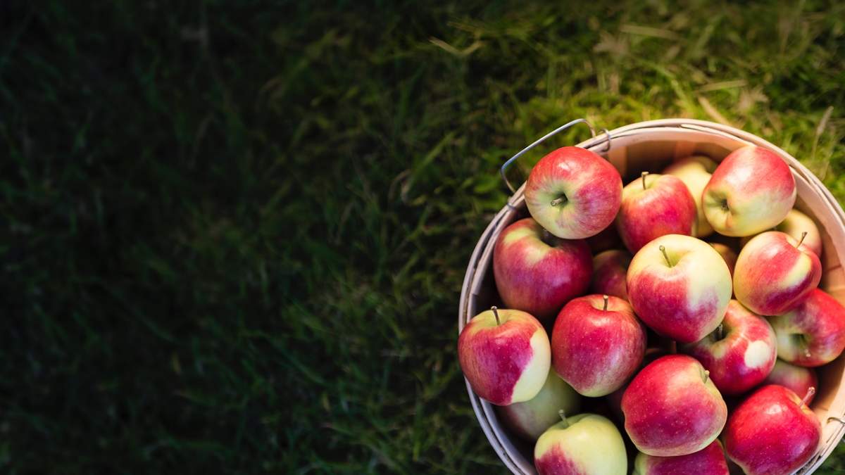 Making the most of apple season - image