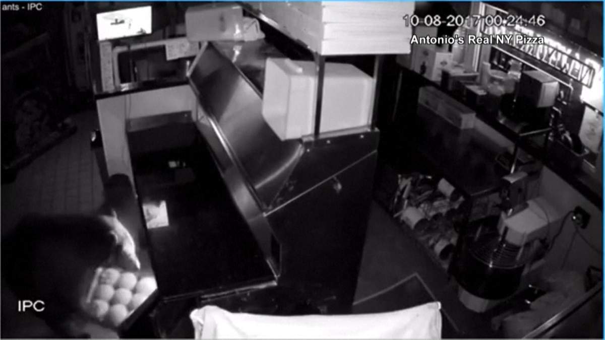 The owner of Antonio’s Real New York Pizza in Estes Park, Colo., is urging authorities and politicians to make changes to how they deal with wildlife, after three bears broke into his restaurant in search of food.