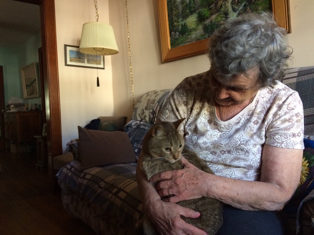 Bess Shrahulek sits with her cat, Thomas, as landscapers and volunteers start to arrive on her front lawn.