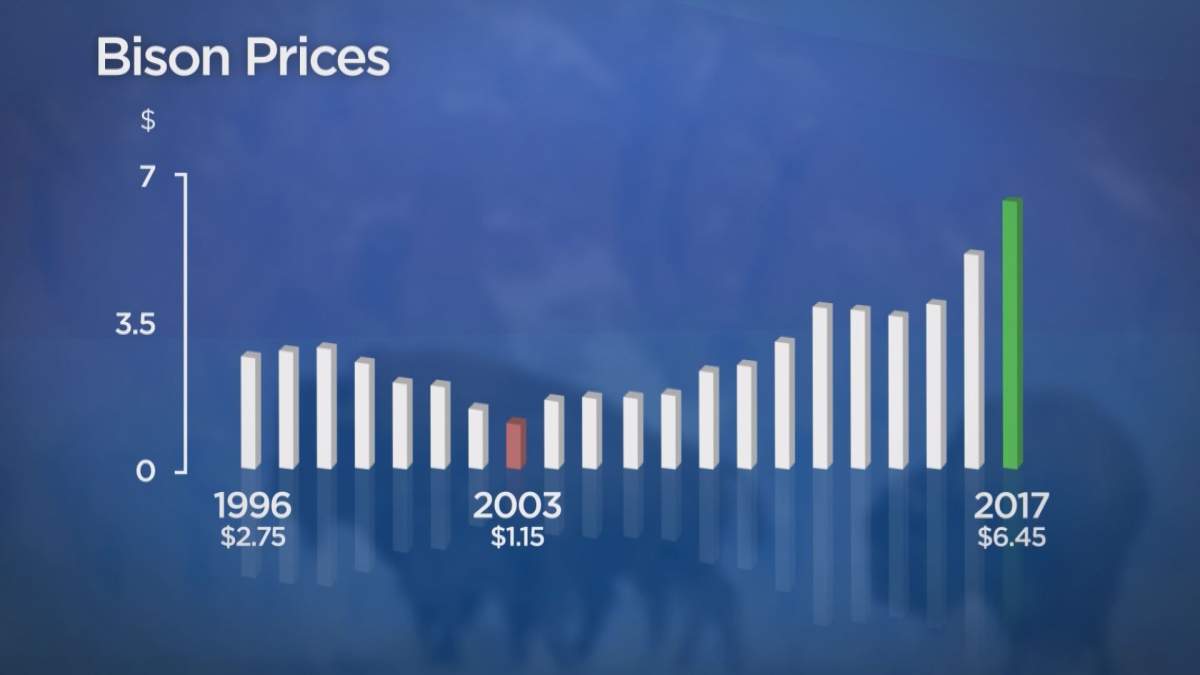 Due to international demand, prices for bison has steadily climbed over the past ten years.