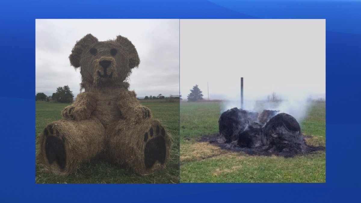 Nova Scotia farmer Blake Jennings woke up Tuesday morning to find out someone had burned the 15-feet tall bear he had made out of hay, which families travel to see every year. 
