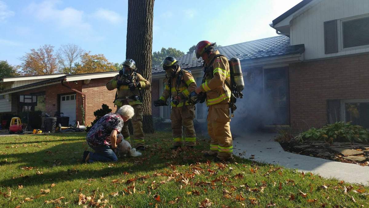 Three city of London firefighters reunite Adele Holmes with her dogs during a simulated escape from a fire during fire prevention week 2017.