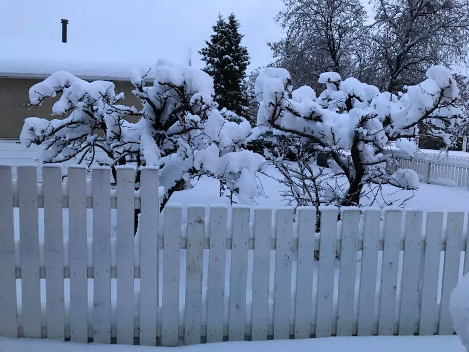 Environment Canada says between two and 10 centimetres are expected to fall.