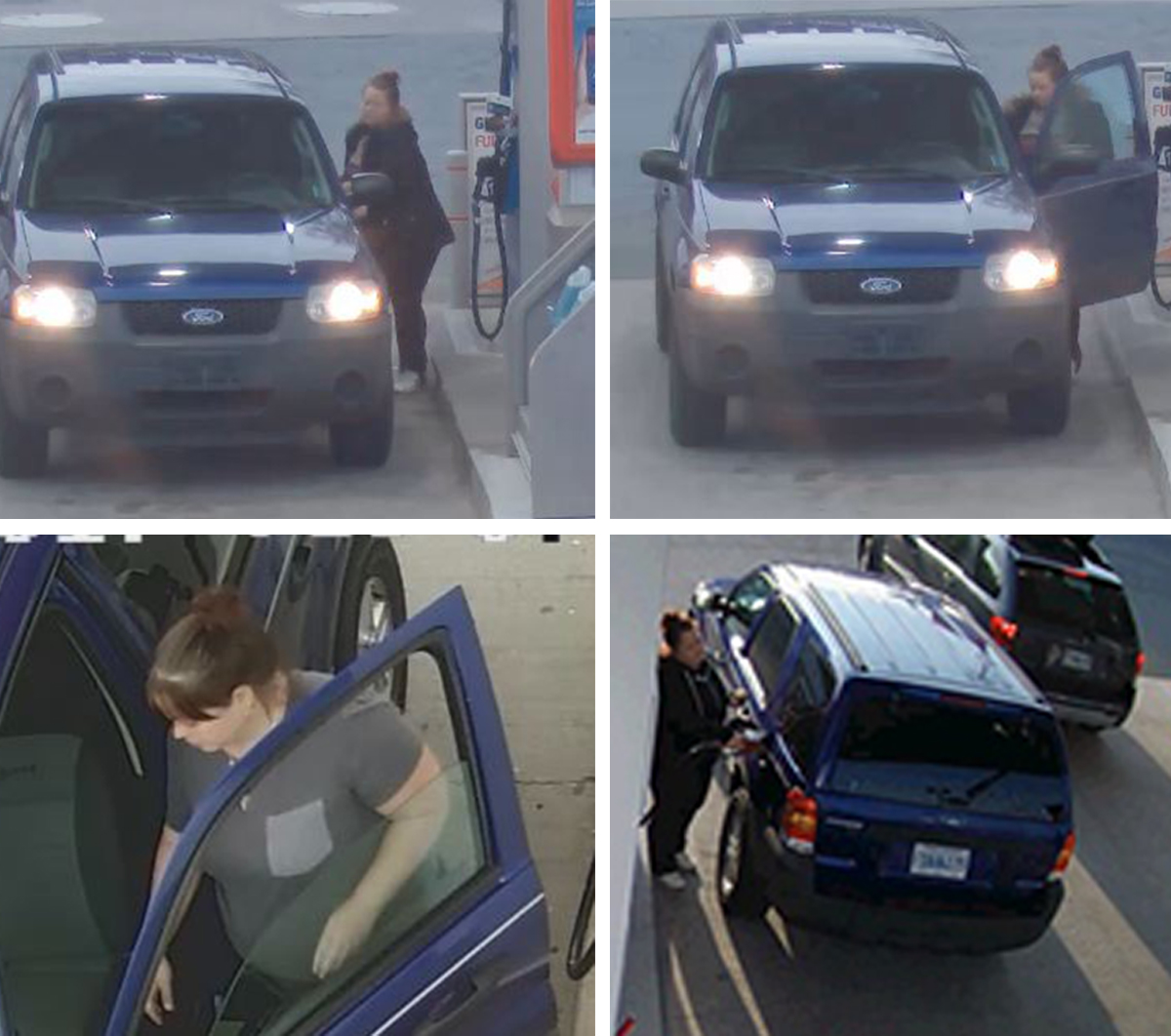 Halifax Regional Police and Halifax District RCMP are trying to identify a woman responsible for a string of 'gas and dashes' in the municipality since early August. 