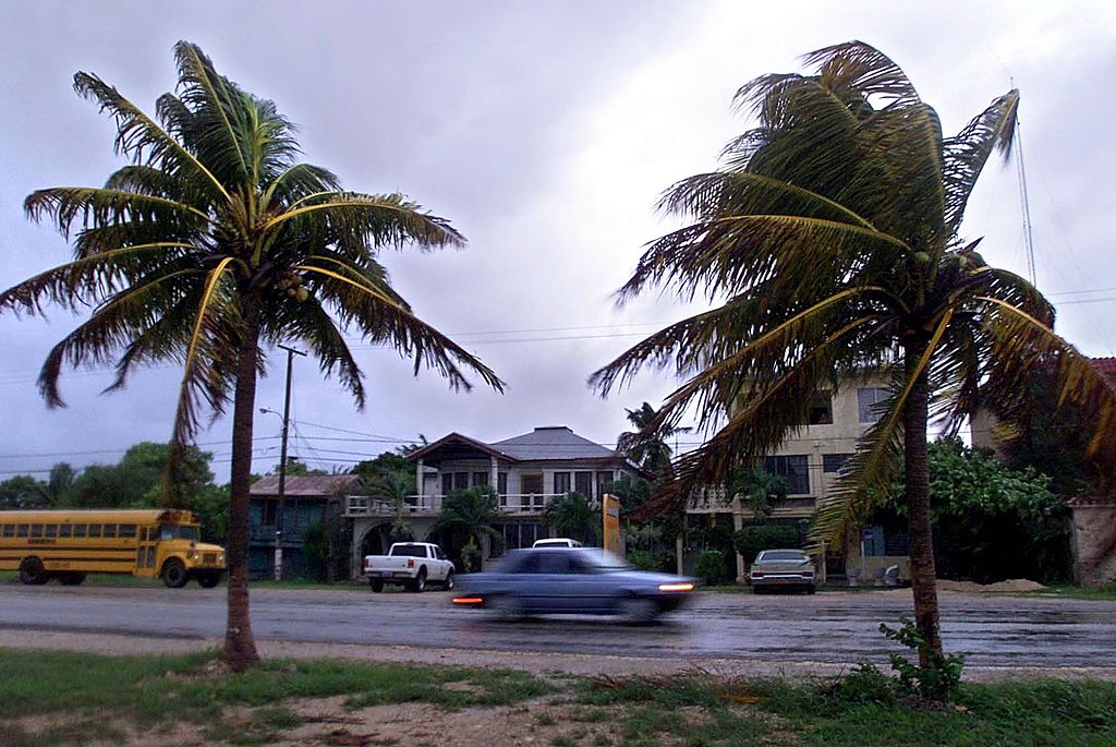Palms blow in the heavy wind and rain on 21 August 2001 in the town Corozal,  217km (135 miles) north of Belmopan, capital of Belize.