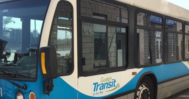 Board of trade changes Guelph Transit’s grade on regional transit report card  | Globalnews.ca