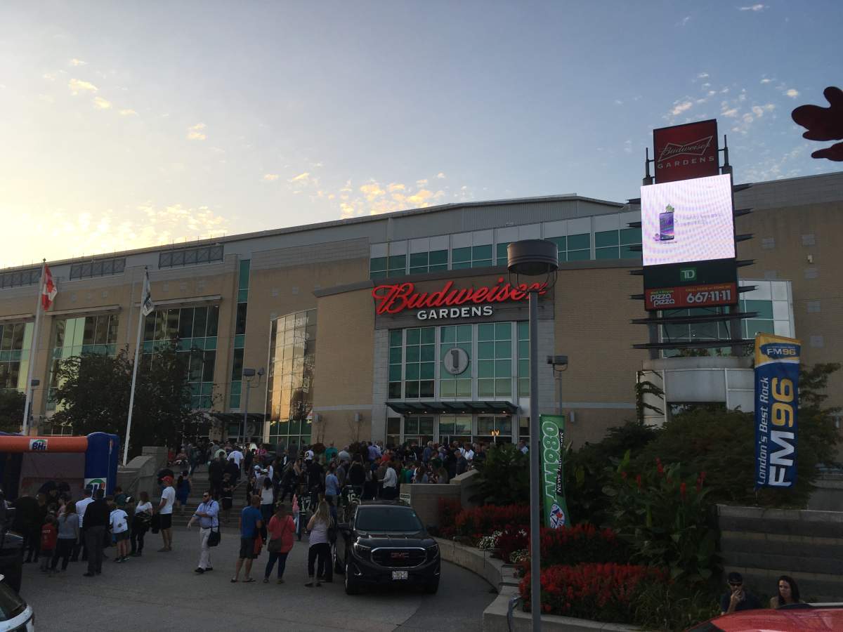 London Knights skewer Flint Firebirds - image