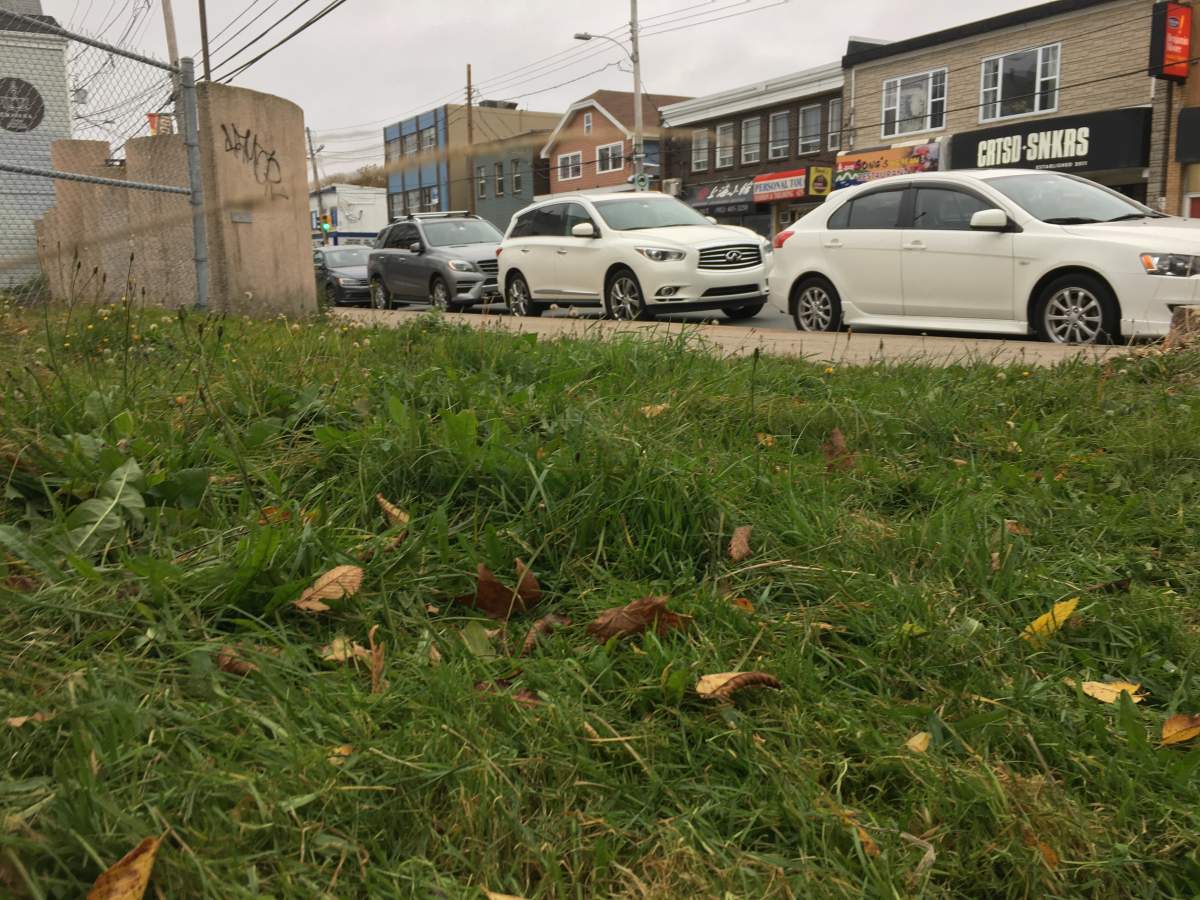 Halifax Regional Police say the infant girl was found in the 6000-block of Quinpool Road in Halifax on Sunday evening.