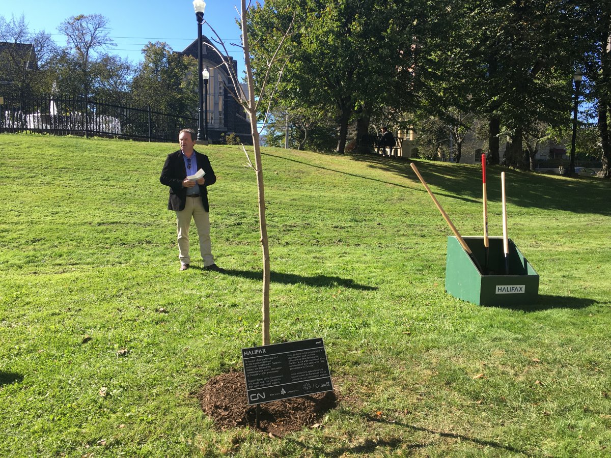 Tree Canada is planting trees in 150 communities across the country to mark Canada 150.