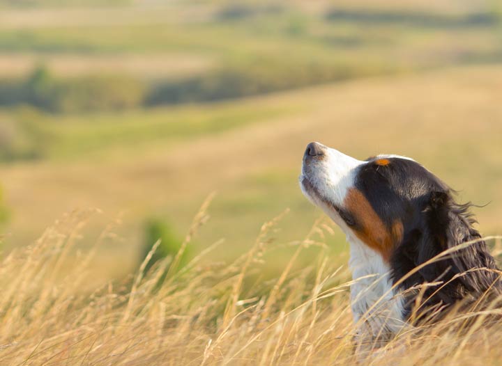 Jordan Janzen took this Oct. 15 Your Saskatchewan photo at Little Arm River.