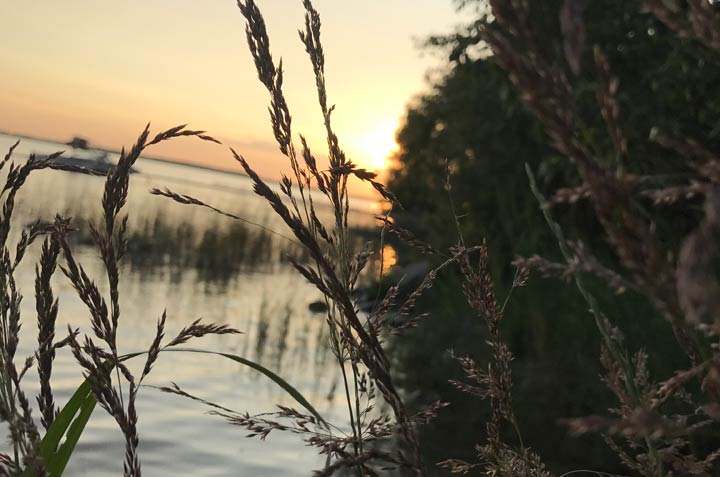 Lauryn Skoropat took this Oct. 9 Your Saskatchewan photo at Candle Lake.