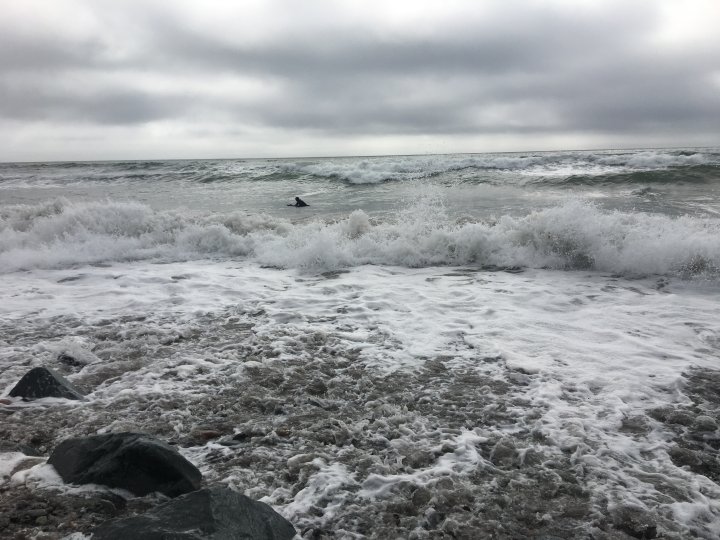 Nova Scotia set to regulate coastal construction as sea levels rise ...