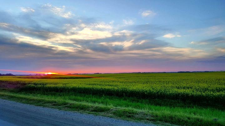 LeeAnn Sylvia took this Oct. 1 Your Saskatchewan photo near Prince Albert.