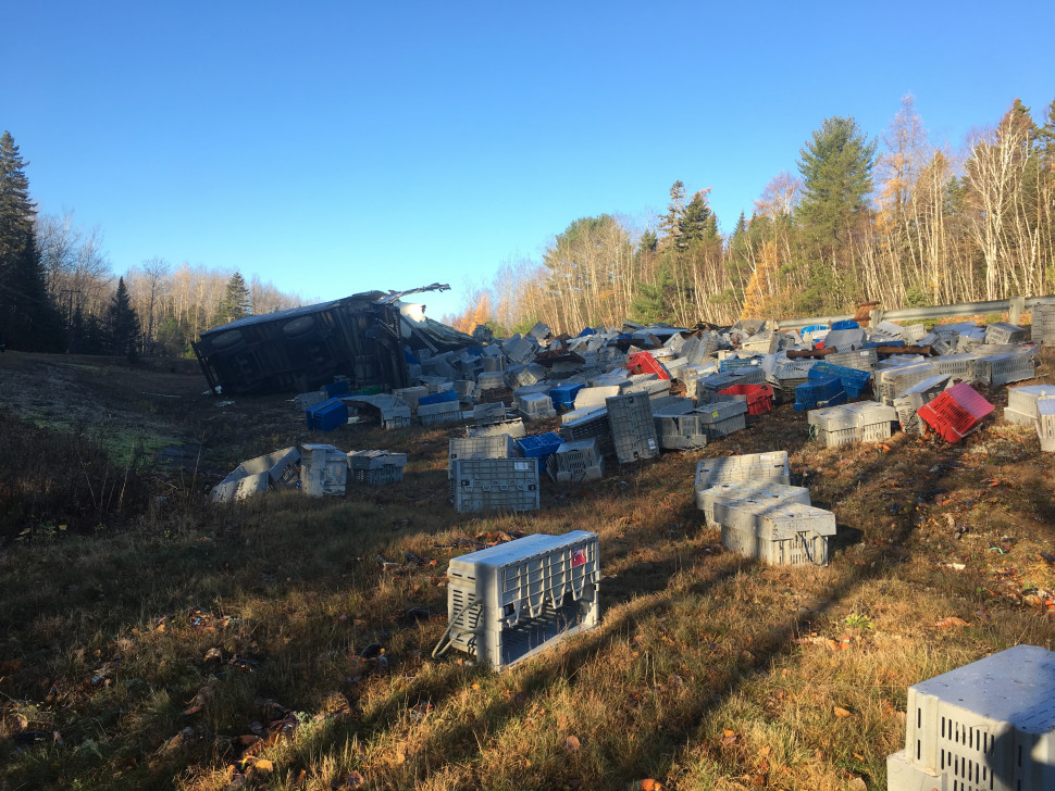 RCMP are advising anyone who took lobsters that fell out of an overturned transport truck early this morning not to eat the contaminated crustaceans.
