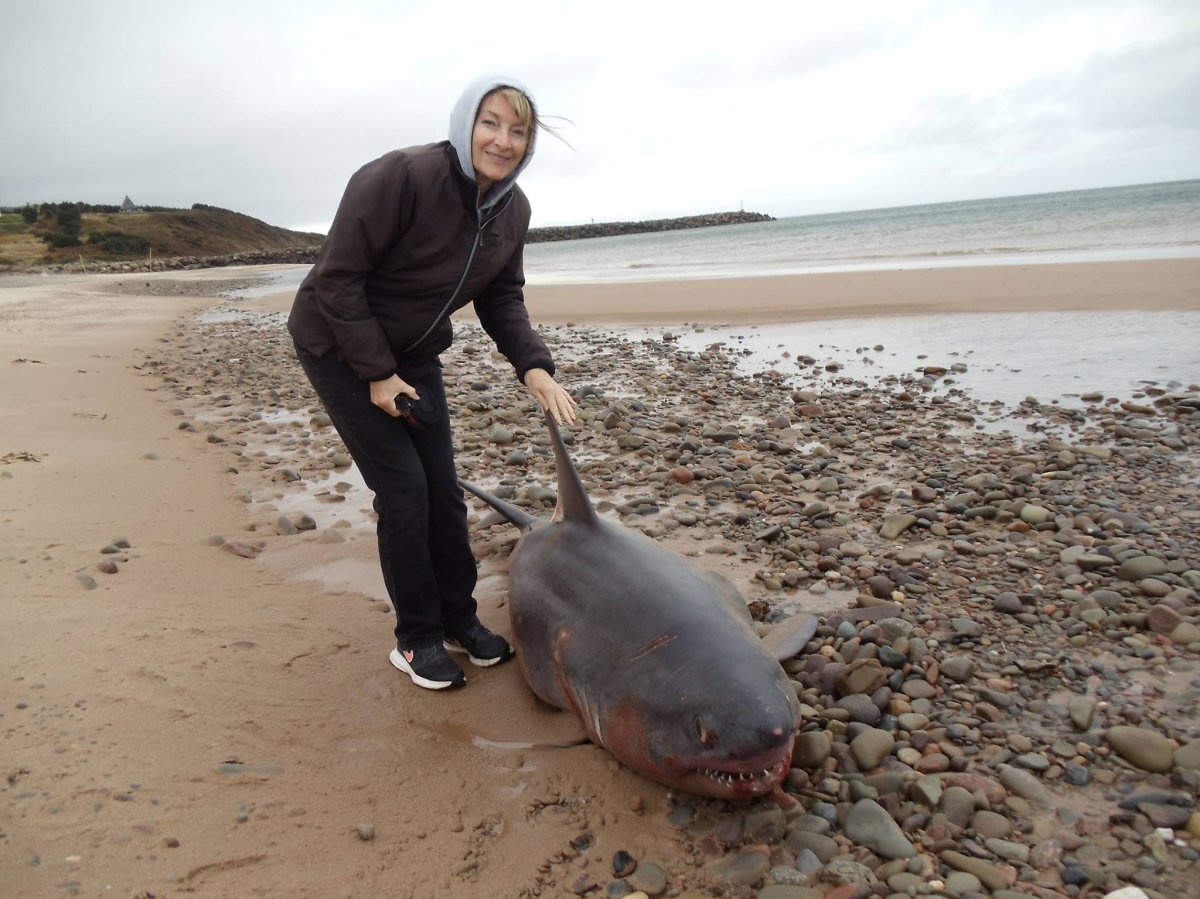 Anne Kennedy poses with the remains of a large shark on Inverness Beach.