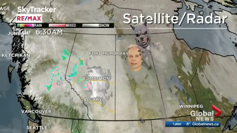 POLL: After a decade, which of Mike and Daintre’s Halloween costumes are the best? - image