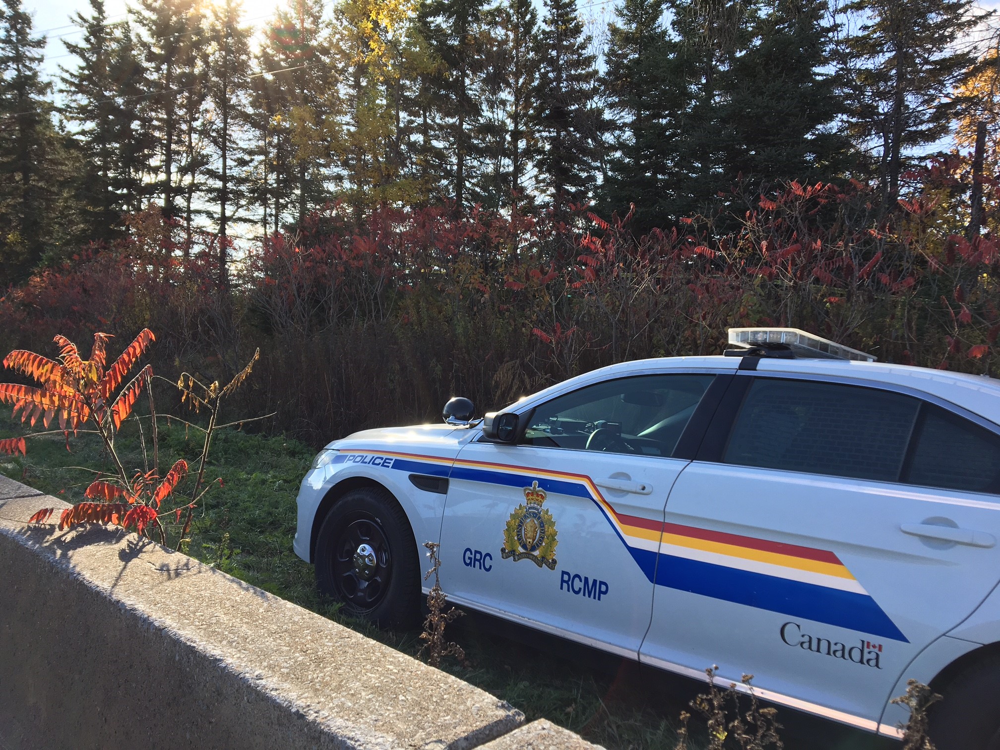Foul play ruled out in death of Moncton woman found in wooded area ...