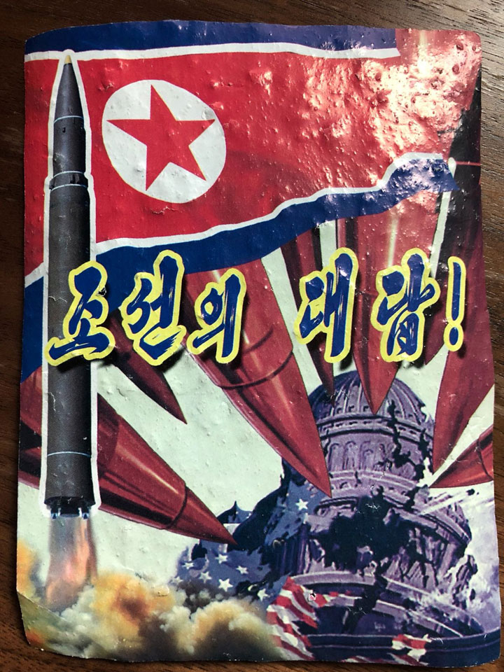 North Korean flyer