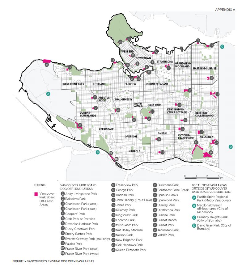 Vancouver Park Board recommends TransLink to allow dogs on public transit - image