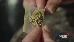 Continue reading: Can a town pass on legal weed stores? Some Richmond Hill councillors hope so