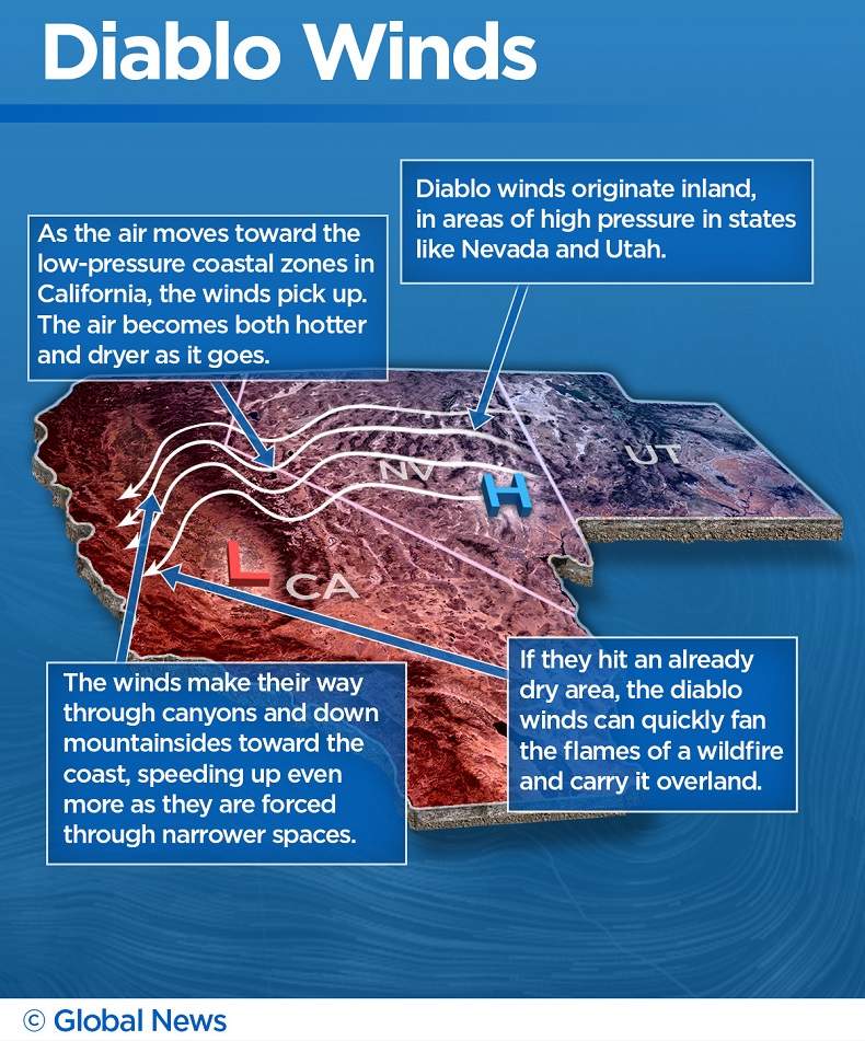 California fires: What are the ‘Diablo winds’ fanning the flames in wine country? - image