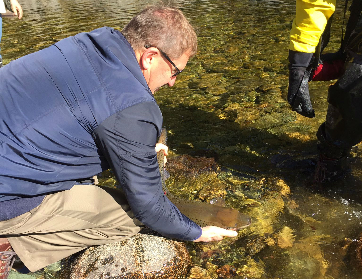 1,000 Atlantic Salmon Are Back In Their Natural Habitat — N.B.’s Fundy ...