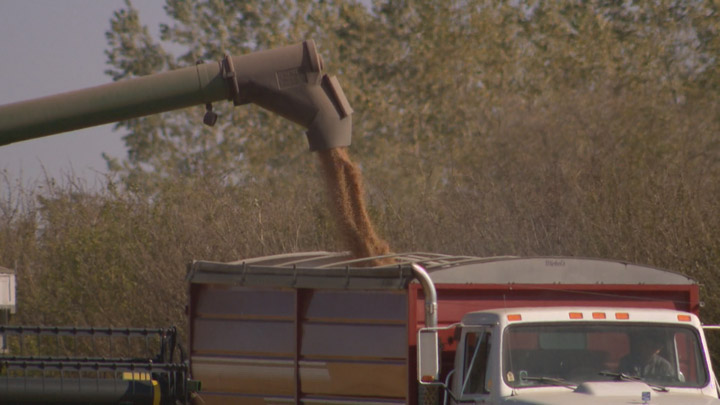 Warm and dry weather helped farmers make progress on the harvest: Saskatchewan Agriculture.