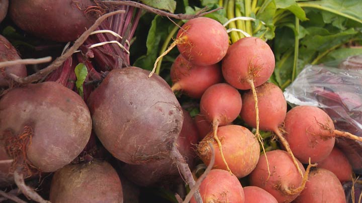 CHEP Good Food is asking for the public’s help in bringing a mobile grocery truck to Saskatoon.