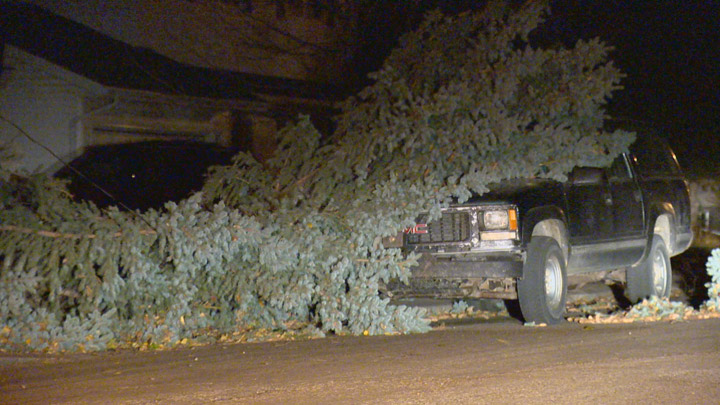 Power knocked out in several neighbourhoods but no reports of serious damage after wind storm passes through Saskatoon.