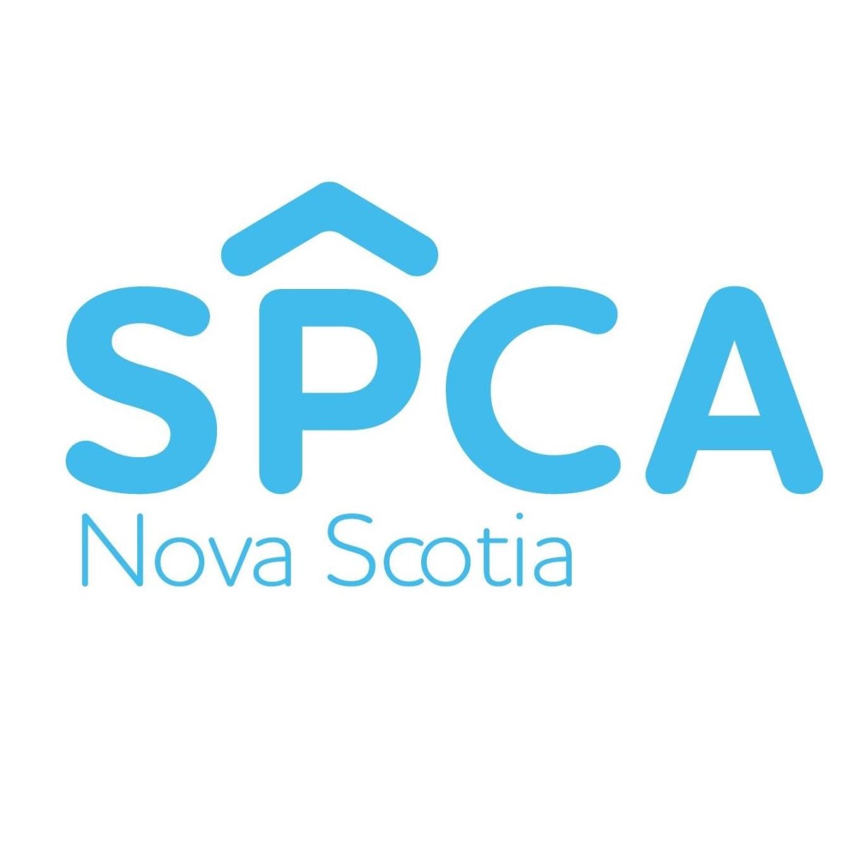 Nova Scotia woman charged with animal cruelty - image