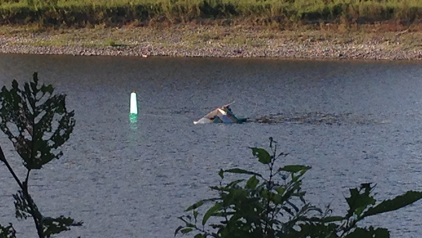 Low altitude, speed contributed to fatal helicopter crash in northern N.B. - image