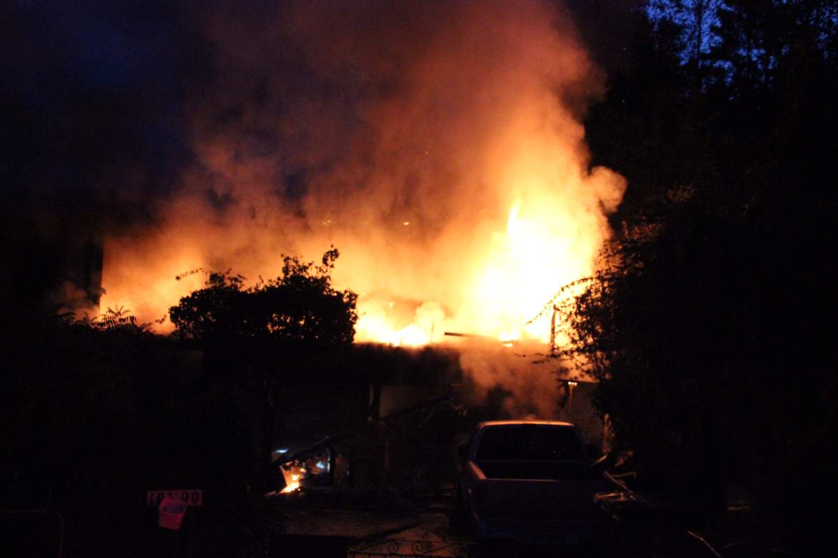 Credit: Shane MacKichan