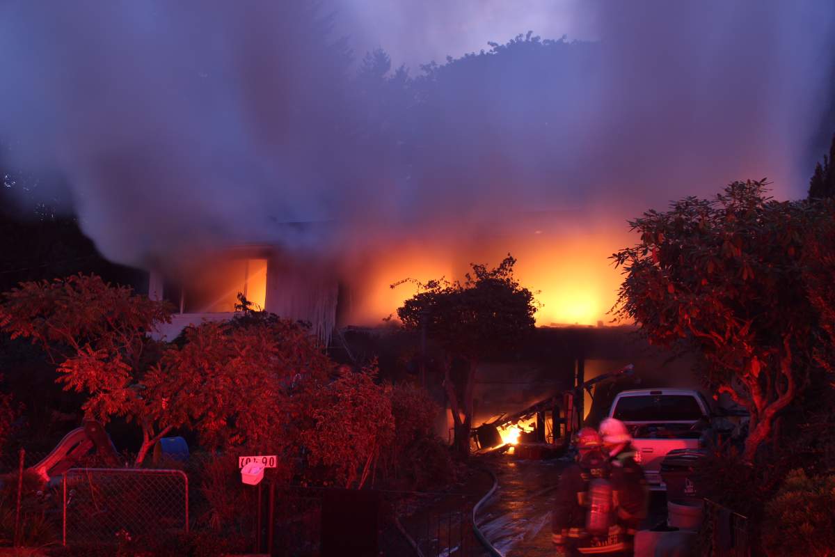 Credit: Shane MacKichan