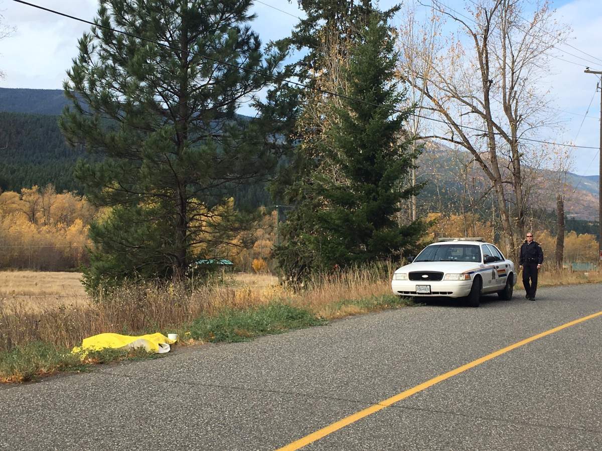 RCMP expand search after human remains found on rural north Okanagan property - image