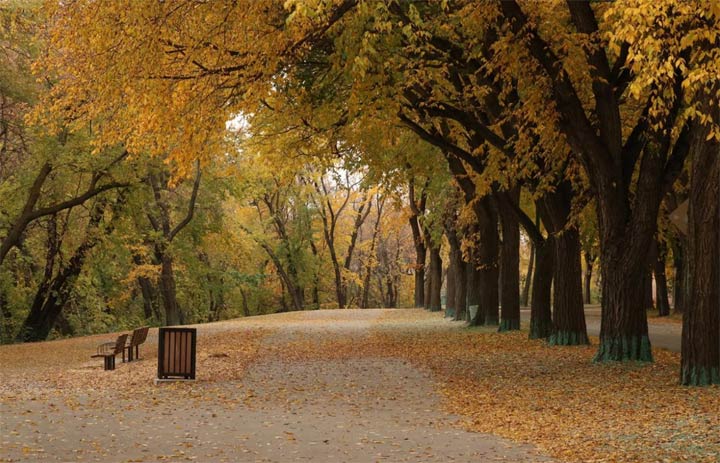 Tischa Mason took this Oct. 21 Your Saskatchewan photo in Saskatoon.