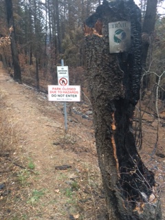 Central Okanagan hiking trail shut down because of lingering wildfire dangers - image
