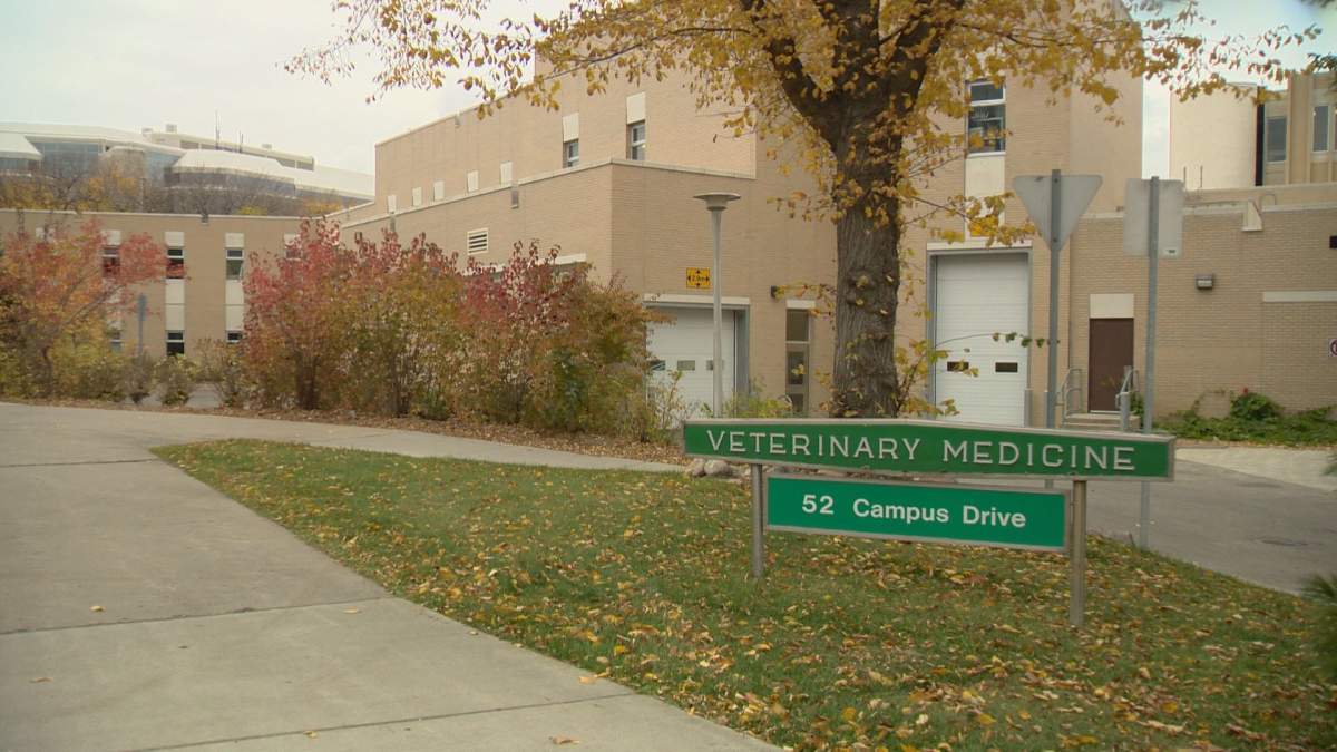 The Alberta government decided to end a 54-year partnership with the Western College of Veterinary Medicine in Saskatoon.