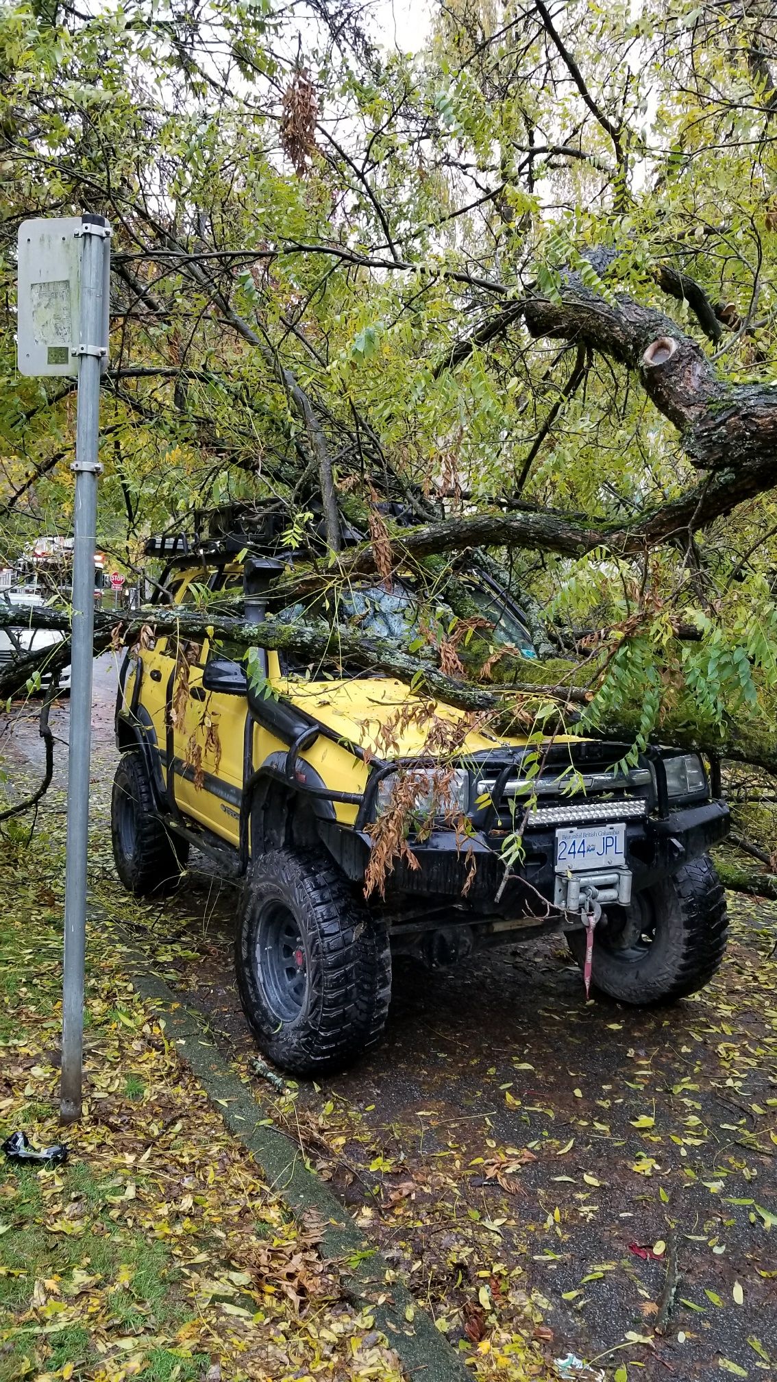 An off-road-type vehicle in Vancouver’s West End, after a tree fell on it on Oct. 19, 2017.