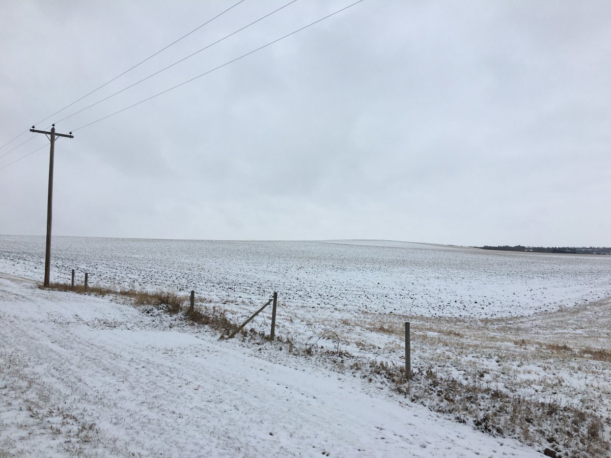 A body was found in an Alberta farmer's field Monday, Oct. 30, 2017. 