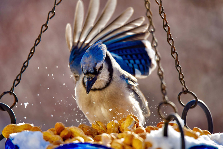 Saskatoon was the setting for Laurel Mitchell to take the Your Saskatchewan photo for Nov. 30.