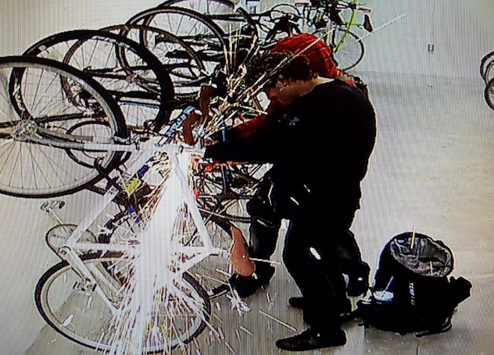 RCMP say they are searching for two bike thieves. 