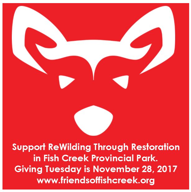 Giving Tuesday and ReWilding Through Restoration - image