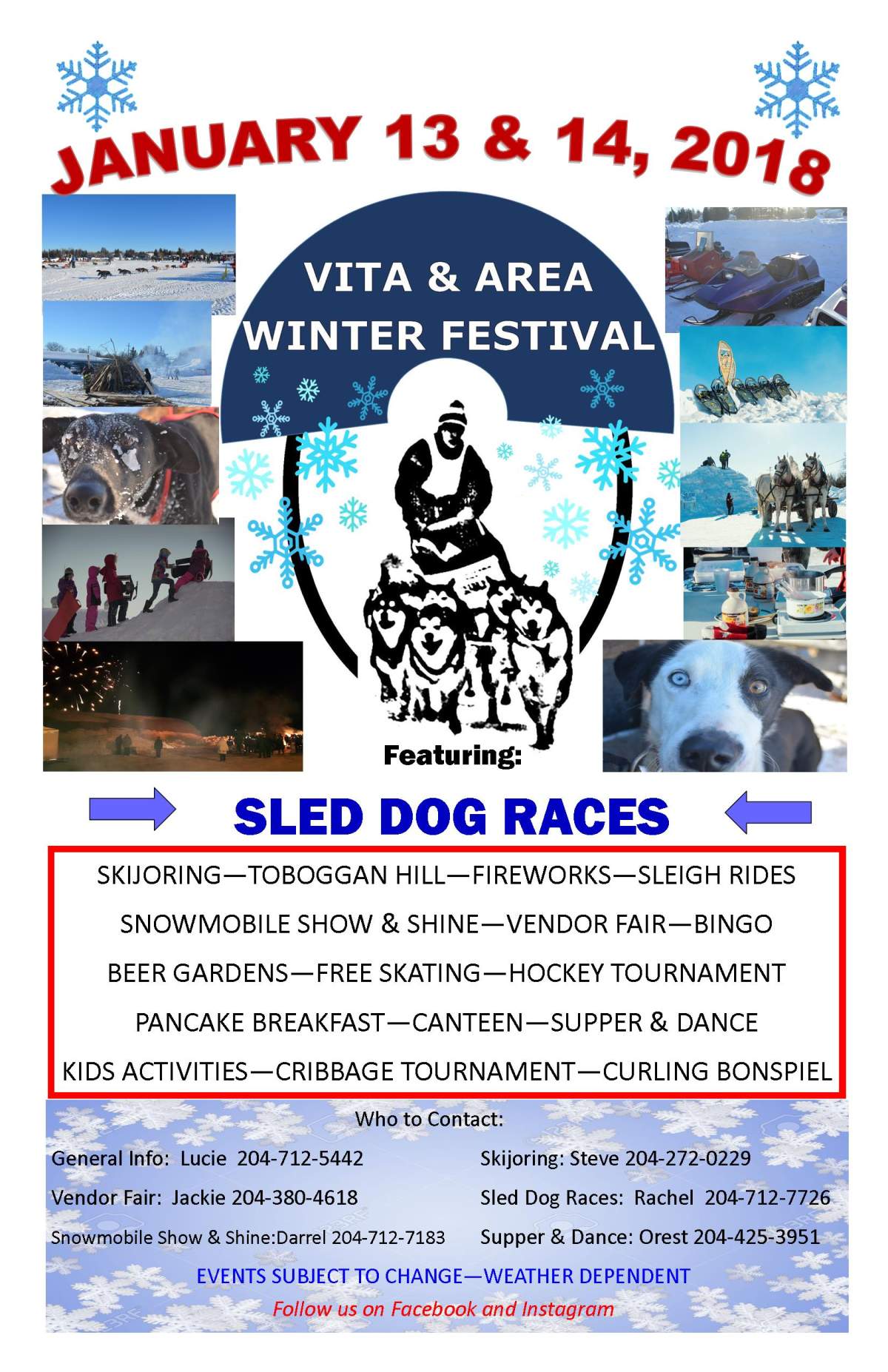 VITA & AREA WINTER FESTIVAL - image