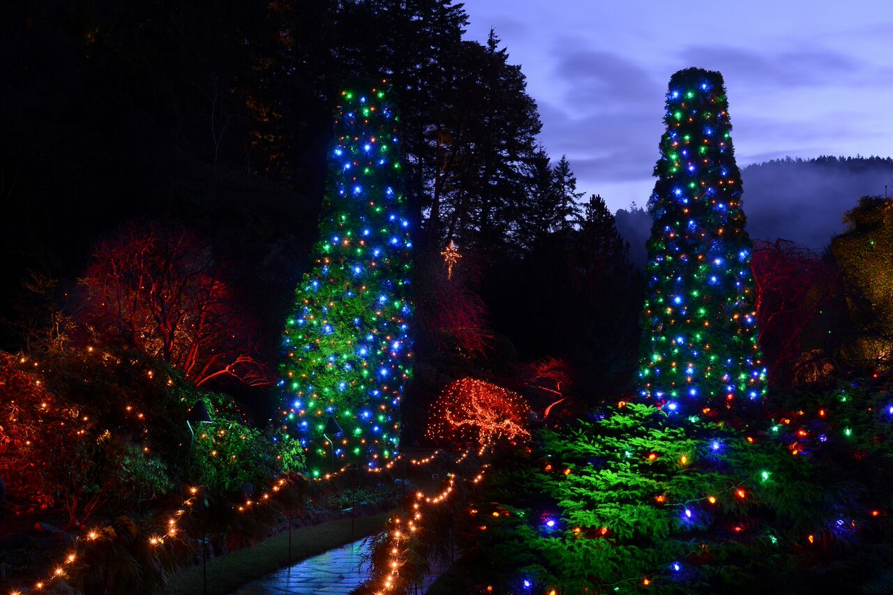 The Magic Of Christmas At Butchart Gardens