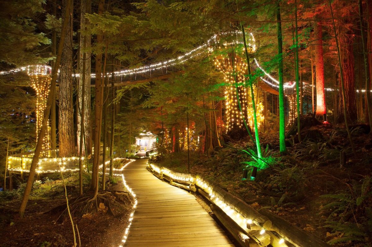 Bolt spray tilpasningsevne Canyon Lights: Vancouver City Capilano Suspension Bridge Park Tour -  GlobalNews Events