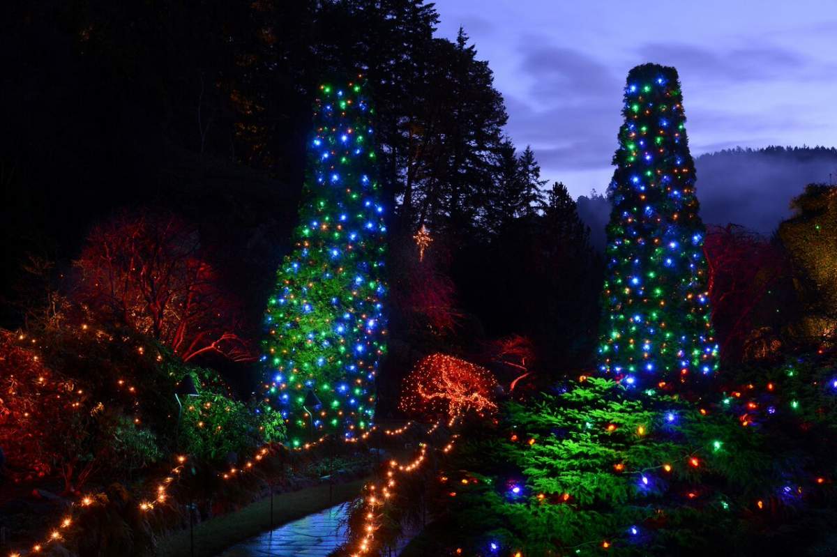 Victoria Butchart Gardens Christmas Tour - image